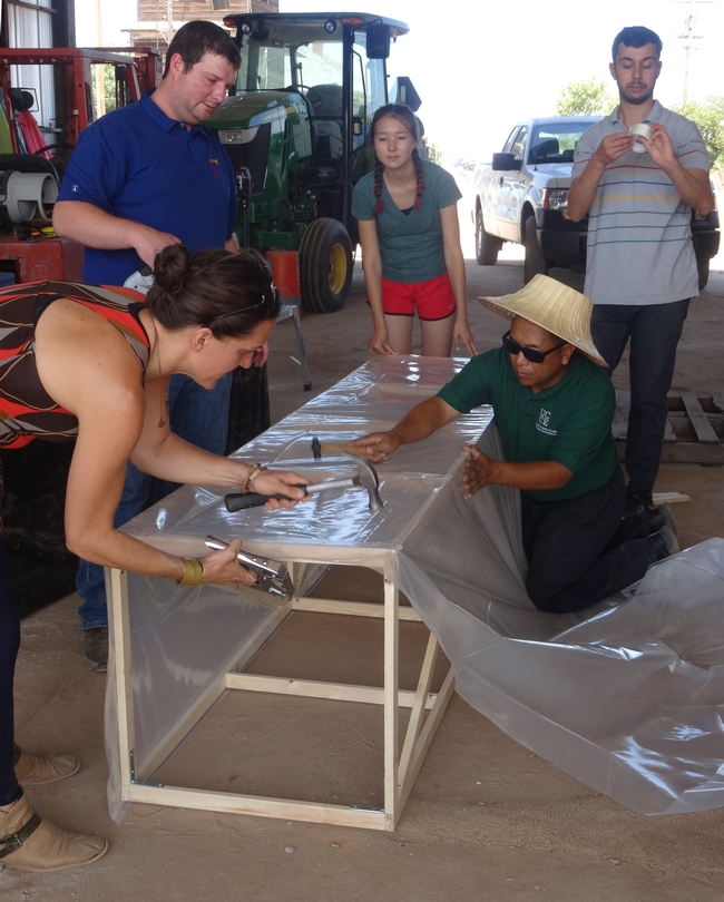 Group hammers plastic to a wooden frame,during construction of a chimney solar dryer in a barn.