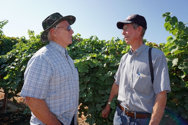 UCCE viticulture advisor emeritus George Levitt chats with retired USDA breeder David Ramming at Grape Day 2017,
