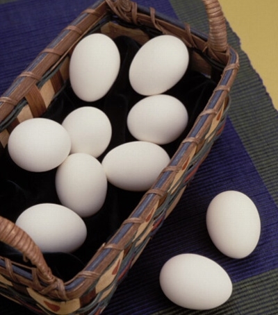 Egg safety can prevent a foodborne illness.