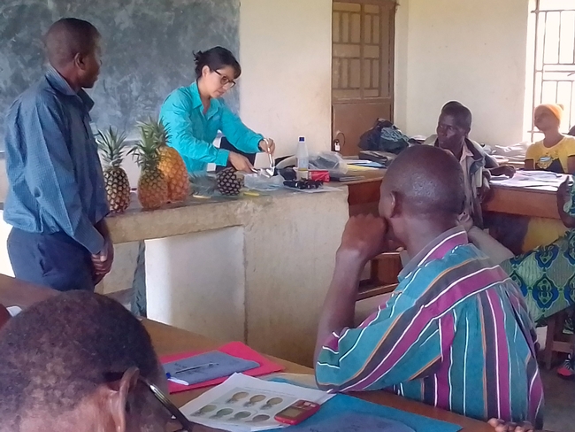 thumbnail: Karin Albornoz leads a workshop in postharvest handling of pineapple in Uganda.