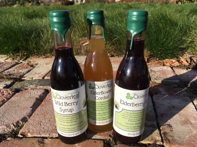 Elderberry products from the Cloverleaf Farm