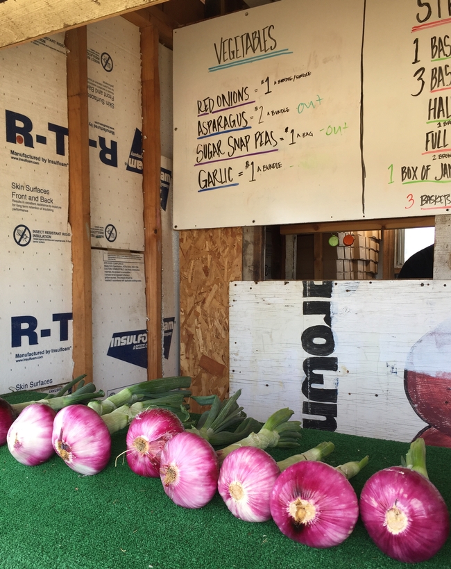 Some farm stands offer vegetables, like these red onions, to complement the strawberries.