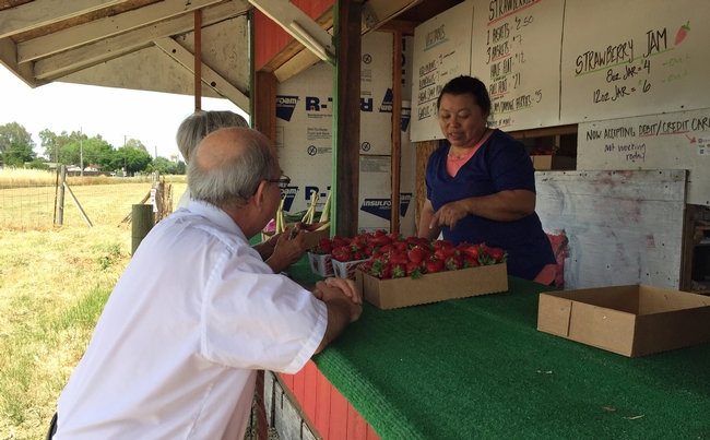 Established farm stands, like this one on Florin Road at South Watt Avenue, develop a loyal following of customers who eagerly await their opening to buy strawberries.
