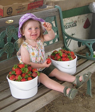 Strawberries! - Pacific Star Gardens