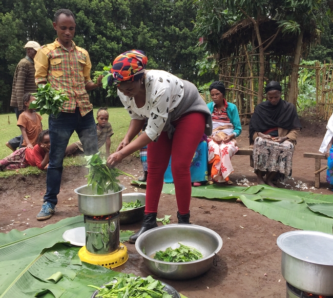 Man holds leaves and woman cooks leaves in a pot on a burner outside, with farmers gathered around.