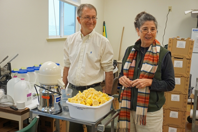 USDA plant physiologist David Obenlanda, left, and UC Cooperative Extension specialist in subtropical fruit Mary Lu Arpaia prepare lemons for tasting in the sensory laboratory.