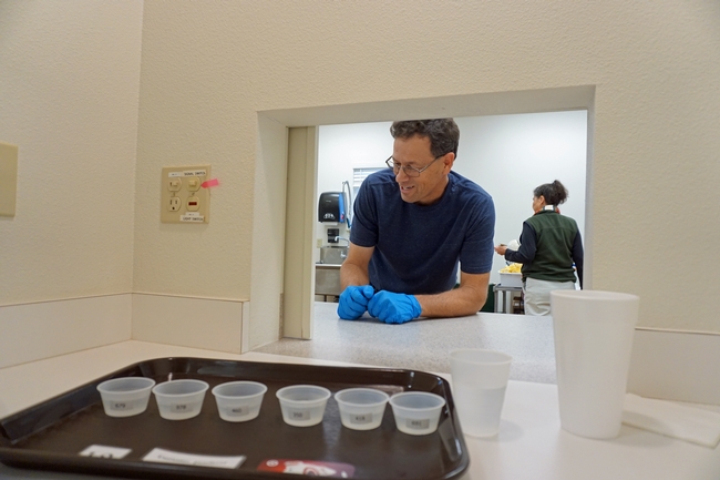 USDA technician Paul Neipp presents a tray for lemon water tasting in one of the sensory lab booths.
