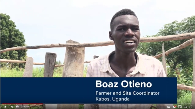 Watch a short video clip on what Boaz Otieno likes best about vegetables: https://youtu.be/aEu9BgL9aH4