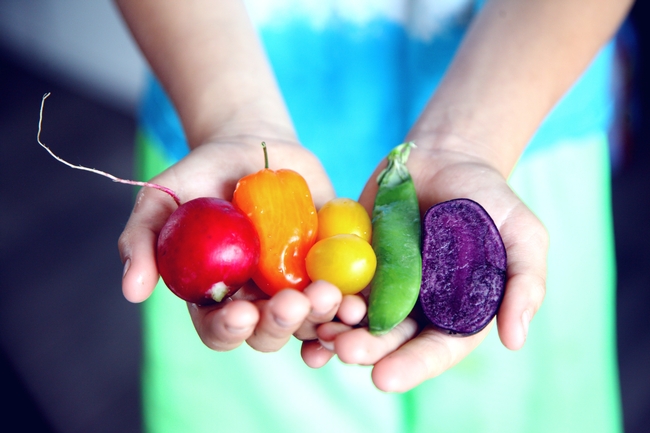 Hands holding vegetables, red turnip, orange, yellow, and green peppers, and purple beet.