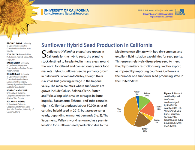 Sunflower Hybrid Seed Production in California, UC ANR Publication 8638, can be downloaded for free at https://anrcatalog.ucanr.edu/Details.aspx?itemNo=8638.