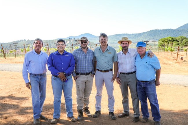 Representatives of UC Cooperative Extension, Beckstoffer Vineyards and Duarte Nursery kicked off the ambitious experiment on Aug. 15, 2019.