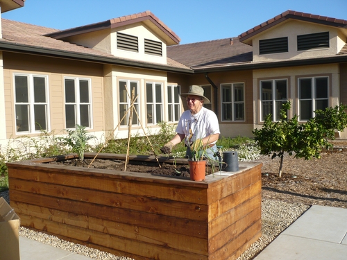 Raised garden beds allow elderly residents to garden without bending over.