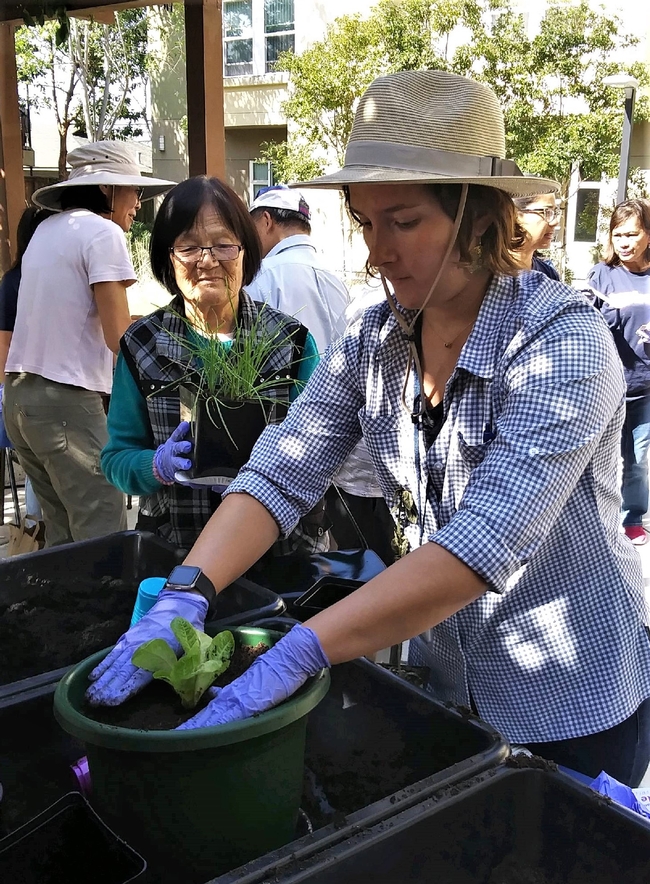 Katherine Uhde, right, plants a seedling at Eden Housing. Uhde, who led the gardening and nutrition education program as a CalFresh Healthy Living, UC community education specialist, is now a UC Master Gardener Program coordinator in Santa Clara County.