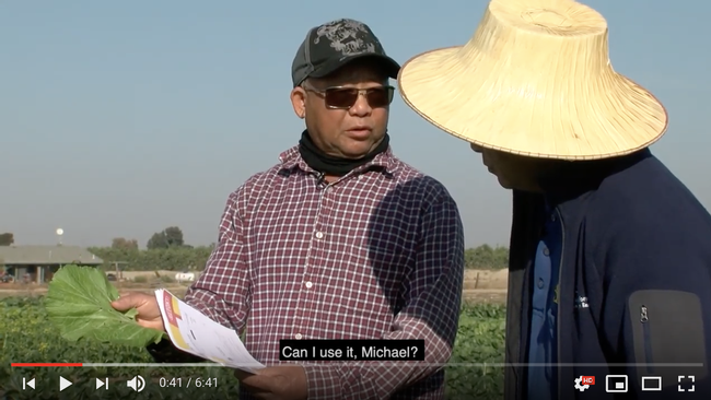 Yang and Dahlquist-Willard partnered with California State University Fresno to produce a video series for the California Department of Pesticide Regulation to help growers understand pesticide regulations and safety..