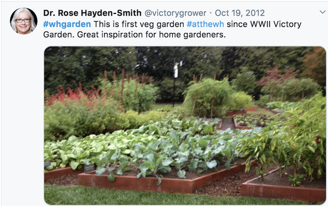 In 2012, Hayden-Smith live-tweeted her visit to the White House garden.