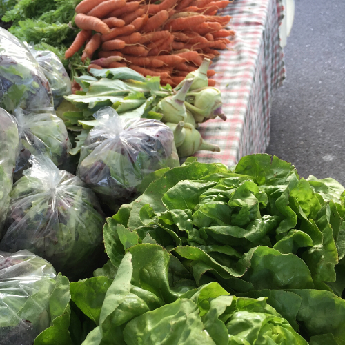 Farmers markets are essential community food sources and important for promoting social connection, which are especially needed now in small towns and counties.