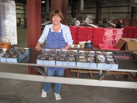 Gayle Willems at the Berry Lady blueberry stand, which sits inside the farm's packing house.