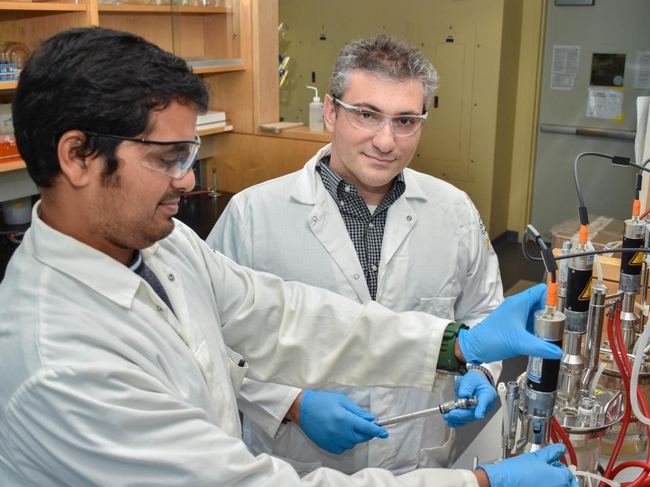 Ilias Tagkopoulos, right, in his lab at the UC Davis Genome Center with research specialist Navneet Rai in 2016. Tagkopoulos, whose work bridges computer science and biology, will lead a new institute for artificial intelligence in food systems supported by the U.S. Department of Agriculture and National Science Foundation. (UC Davis College of Engineering)