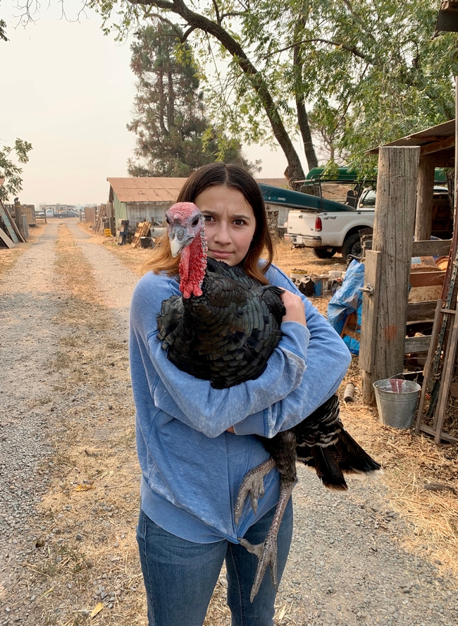 Yaxeli Saiz-Tapia says raising turkeys has raised her appreciation for where her food comes from. Photo by Shauna Aubin