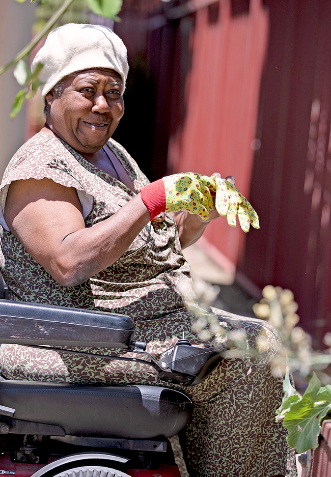 A woman outdoors in a wheelchair pulls on her gardening gloves.