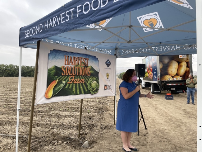 Katie Porter, wearing a royal blue dress and pink face mask, speaks into a microphone while standing at the edge of a cabbage field under a Second Harvest Food Bank shade canopy in front of a banner that reads: Harvest Solutions Farm.