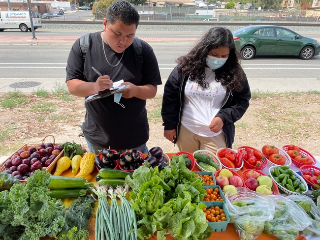 Young people take inventory of produce at their farm stand