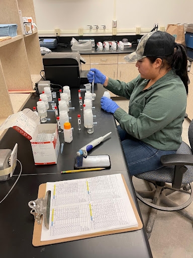Dianely sitting on a lab bench and pipetting