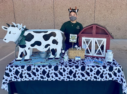 Melina standing behind a table with a cow display above
