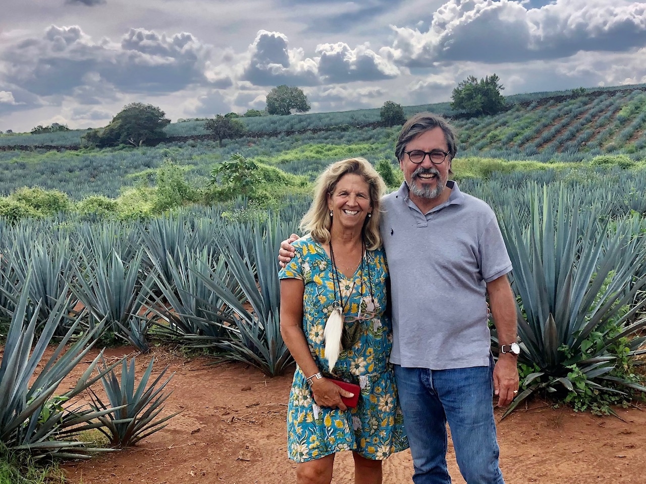 Agave: California's new drought-resistant crop?