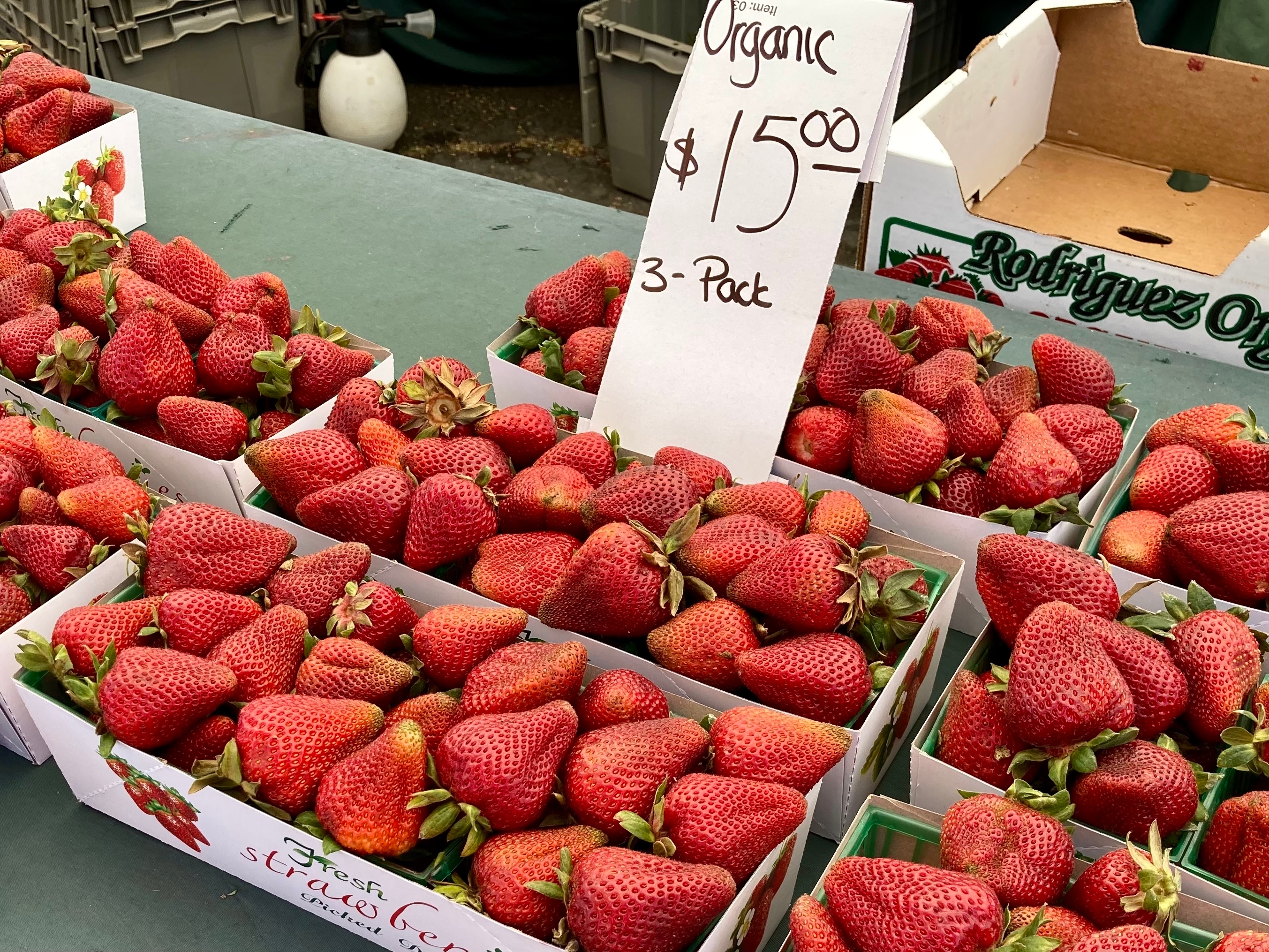 UC study breaks down the costs of growing organic strawberries