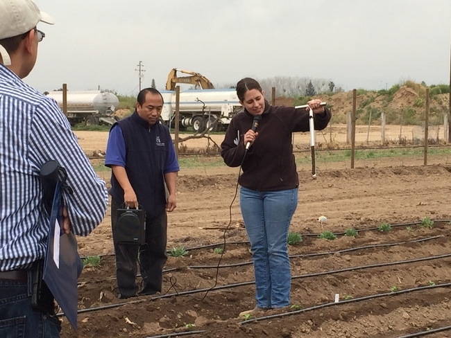 Dahlquist speaks into a mic while holding a soil sampler in a field lined with drip irrigation.