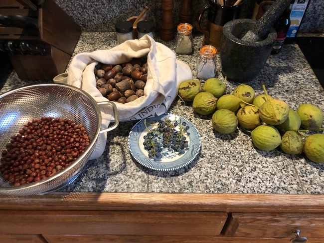 An array of Native foods on a countertop.