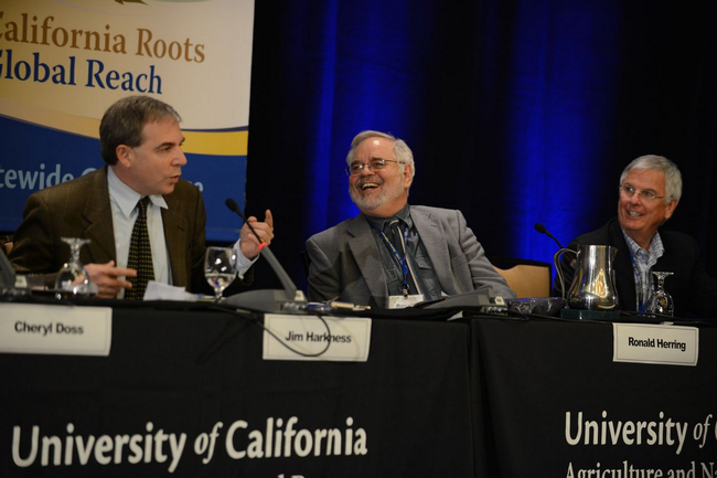 Global panelists Jim Harkness, Ronald Herring, and Donald Bransford