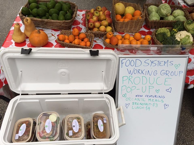 Organic produce and prepared meals for sale