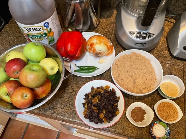 Chutney Ingredients on counter