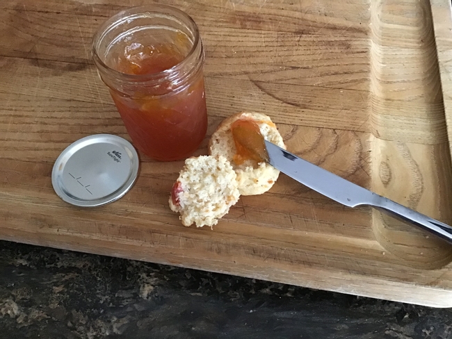 Fresh apricot scone with apricot jam