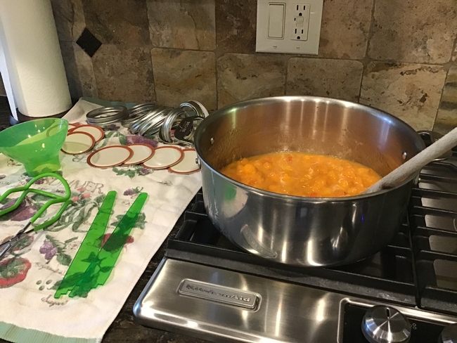 Canning utensils with fruit/pectin and lemon juice in large saucepan