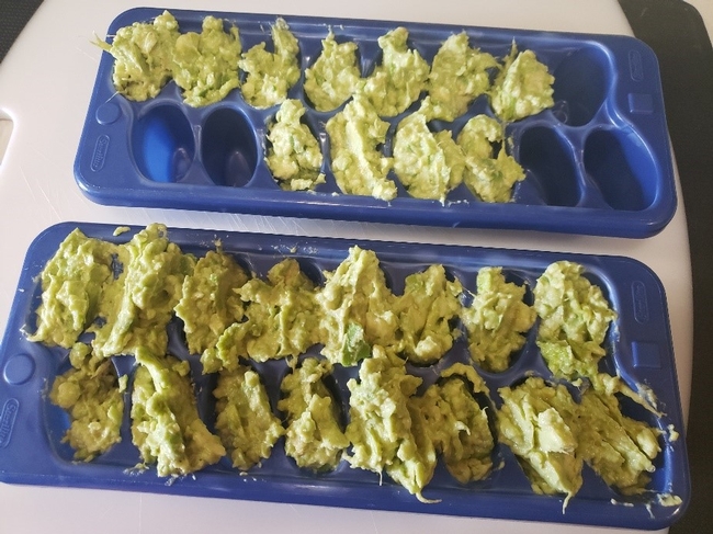 Ice cube trays loaded with mashed avocado