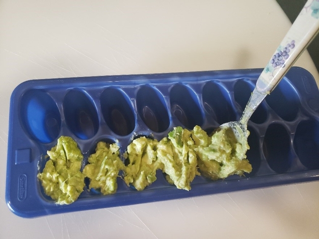 Filling ice cube tray with mashed avocado