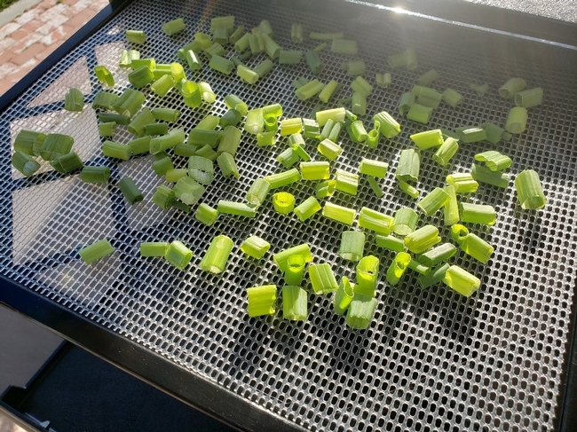 green portion drying tray