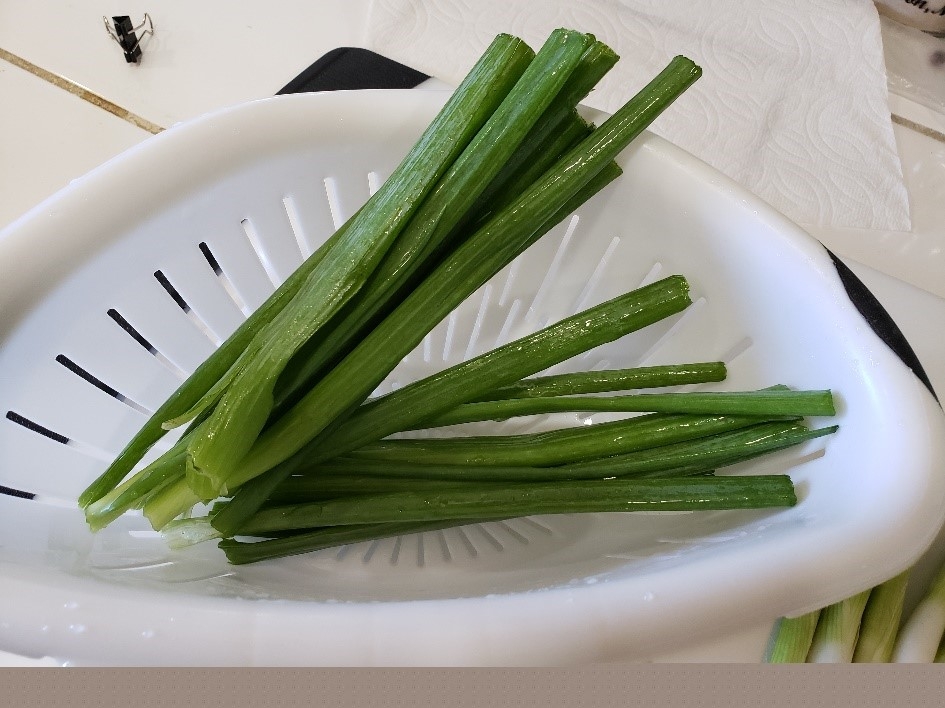 How to Dry Green Onions - Alphafoodie