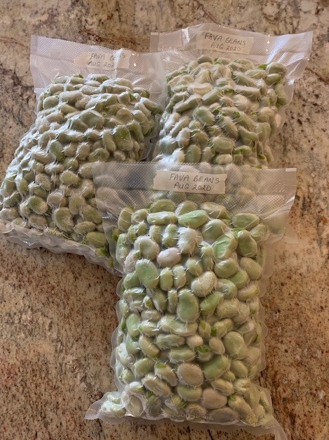Frozen Bags of Beans