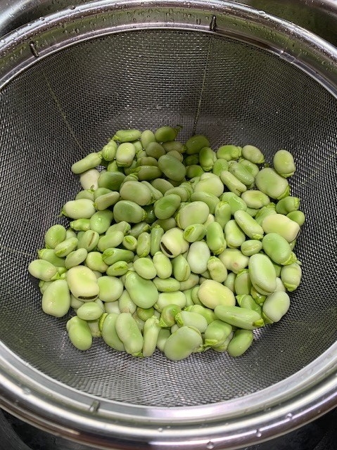 Rinsed Beans Colander