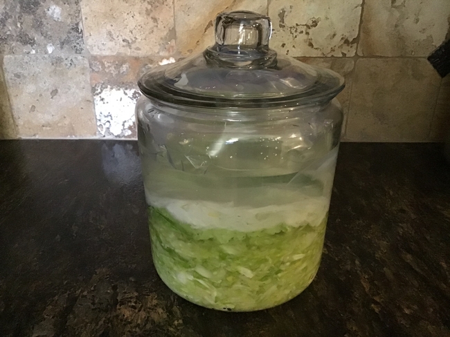 Ready to Ferment