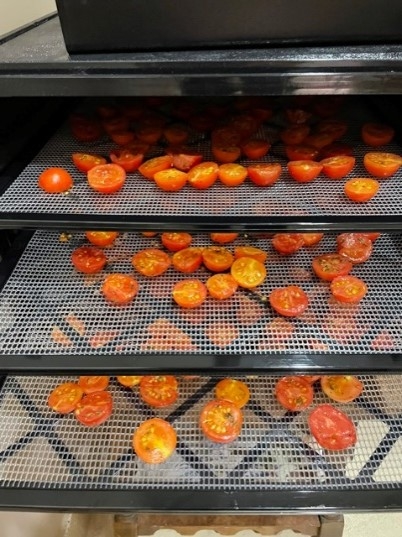 We love our volunteers: Making dehydrated cherry tomatoes from an