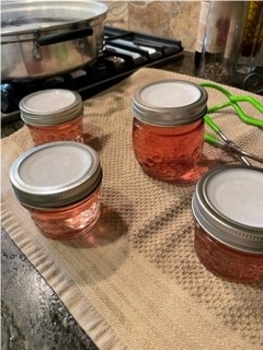 Jelly in jars resting