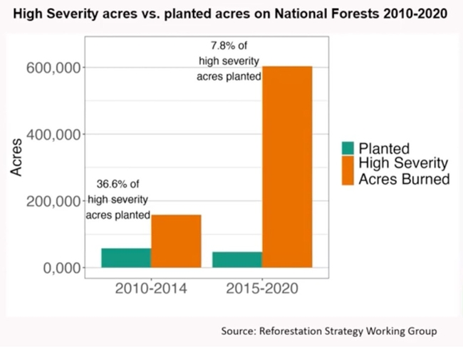 Graph showcasing how many acres of forestland have been planted versus how many acres have been burned by high severity fires. Source: Reforestation Strategy Working Group.