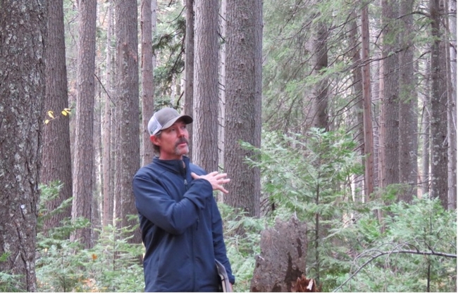 Berkeley Forests Co-Director Rob York explains forest density implications to legislative staff. Credit: G.Dean