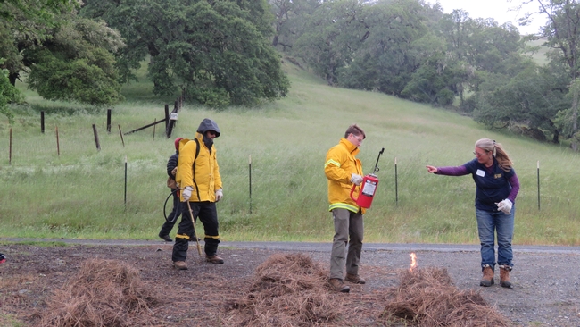UC ANR Forestry Advisor Susie Kocher demonstrates the use of various prescribed fire tools.
