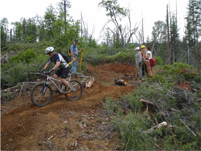 Building and testing a new trail in the Weaverville Community Forest